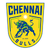 Chennai Bulls